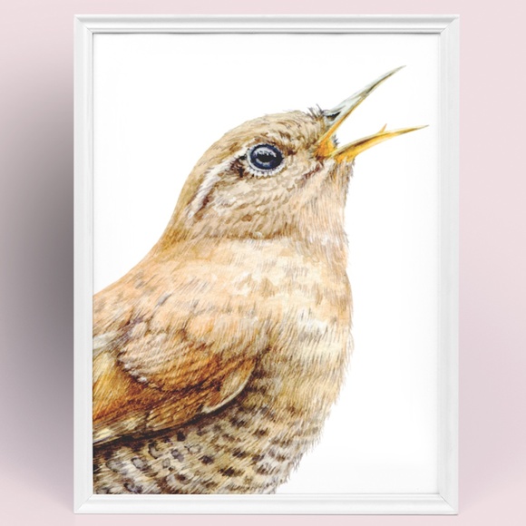 Watercolor Wall Art Wren Bird Illustration Print Poster Unframed - Picture 9 of 9